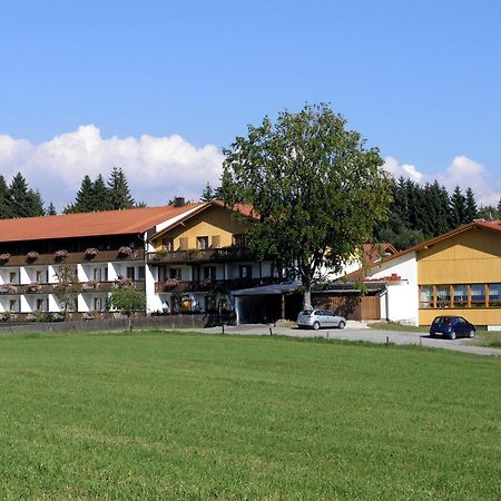 Landhotel Tannenhof Spiegelau Ngoại thất bức ảnh